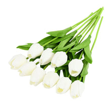 Load image into Gallery viewer, 44640056443097