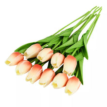 Load image into Gallery viewer, 44640056869081