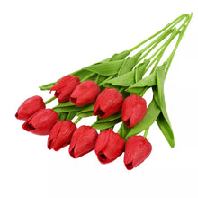 Load image into Gallery viewer, 44640056639705
